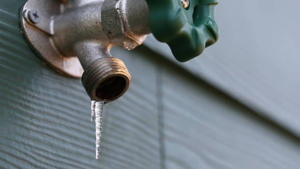 Best Drain Cleaning Services  in Frostburg, MD